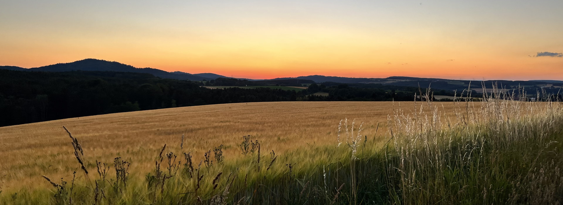 Jägervereinigung Nittenau e.V.
