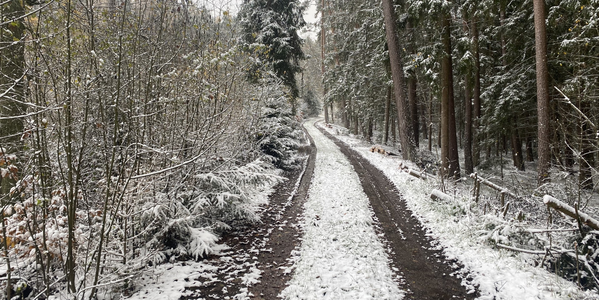 Jägervereinigung Nittenau e.V.